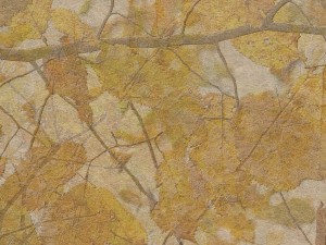 Pressed Leaves Texture 4