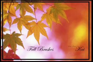 Fall Season Brushes by KaiPrincess