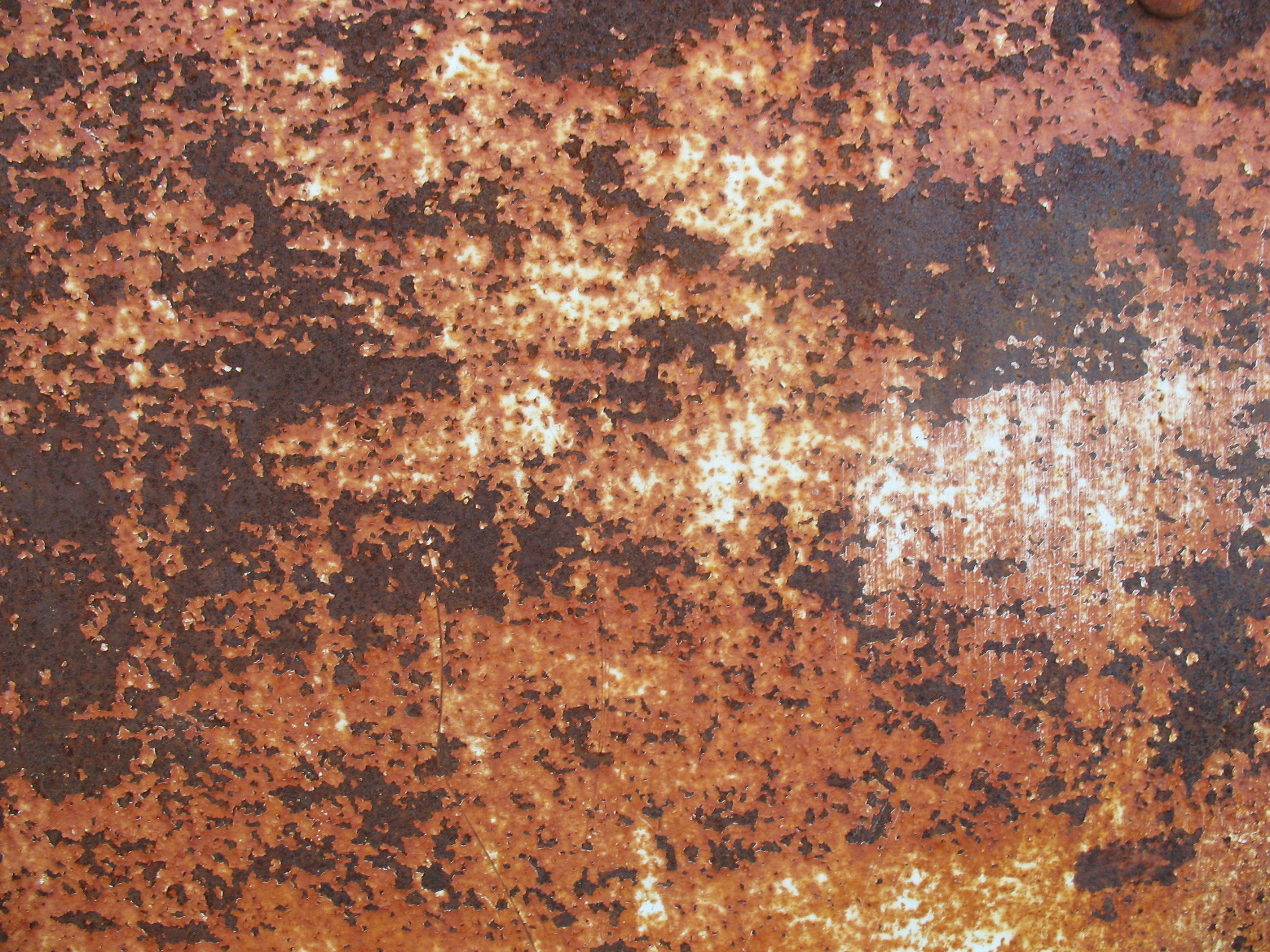 Rust alpha texture фото 67